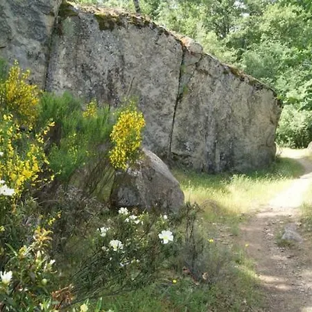 Cabeza Lobera